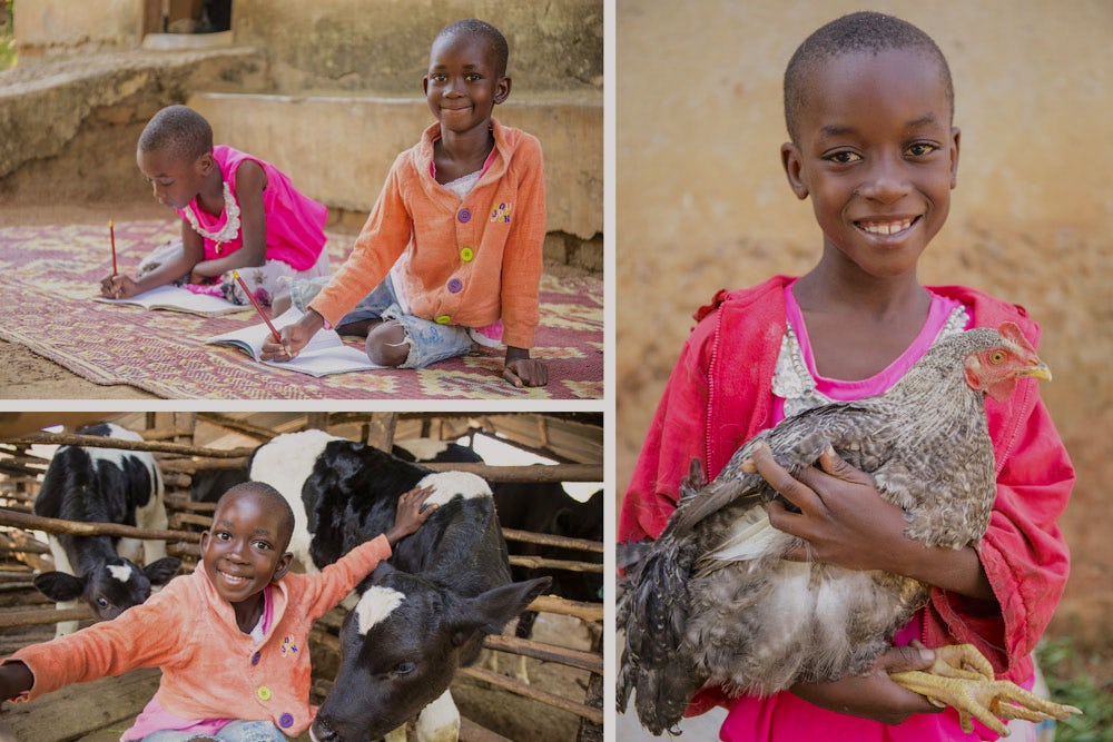 Children pictured with animals and doing homework