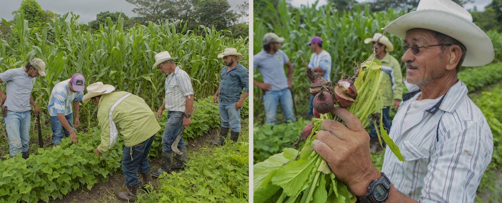 Isauro和Carlos在上园艺课。其他农民把种子带到农场来测试它们的生存能力。