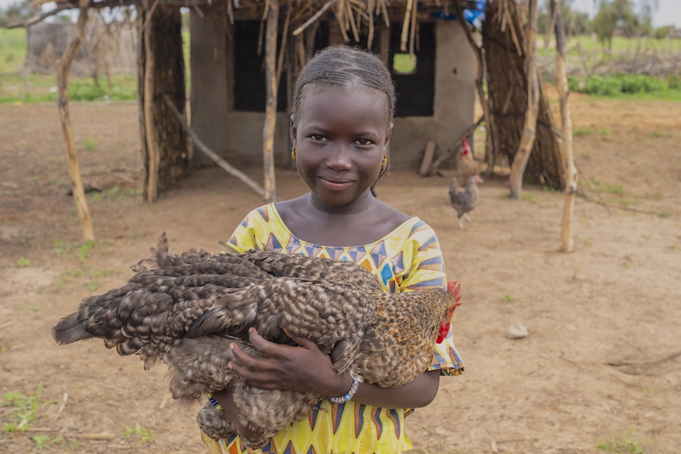 Khardiata holding a chicken.