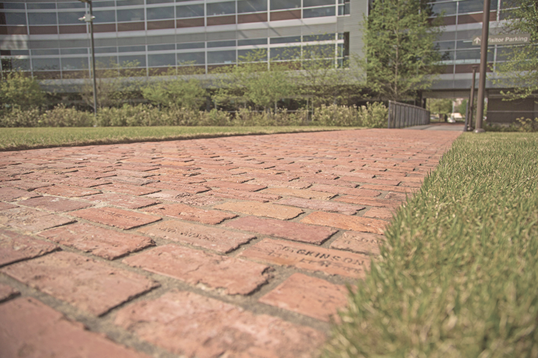 Salvaged bricks make up the walkway to Heifer Headquarters. 