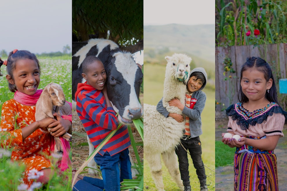 four images of children holding animals