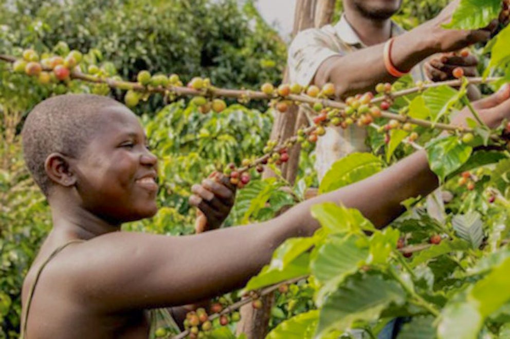 Youth leaders advocate for increased funding for the agriculture sector.