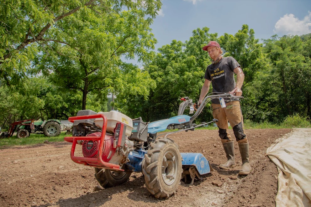 Heifer International’s Crypto Move and What It Might Mean for Everyday Donors.