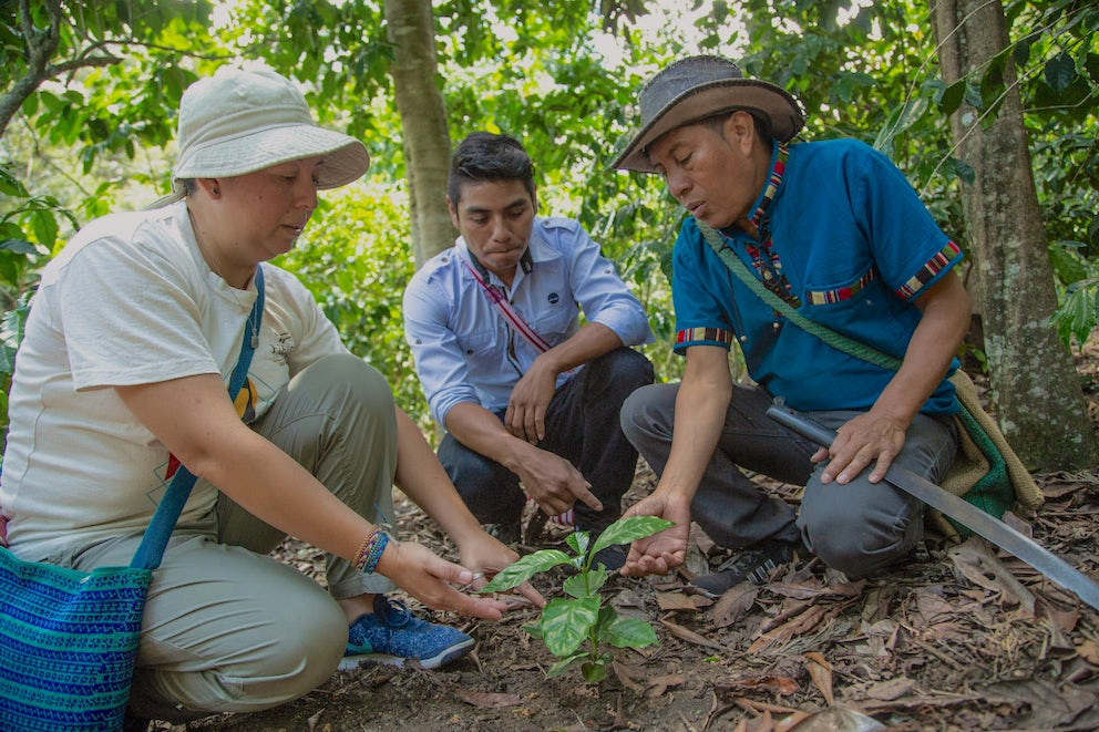 A Fair Deal for Coffee Farmers Starts with the Democratization of Data.