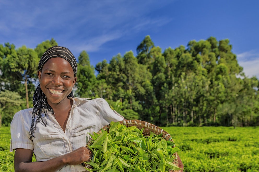 Why Impact Investors Should Bet on Agriculture.