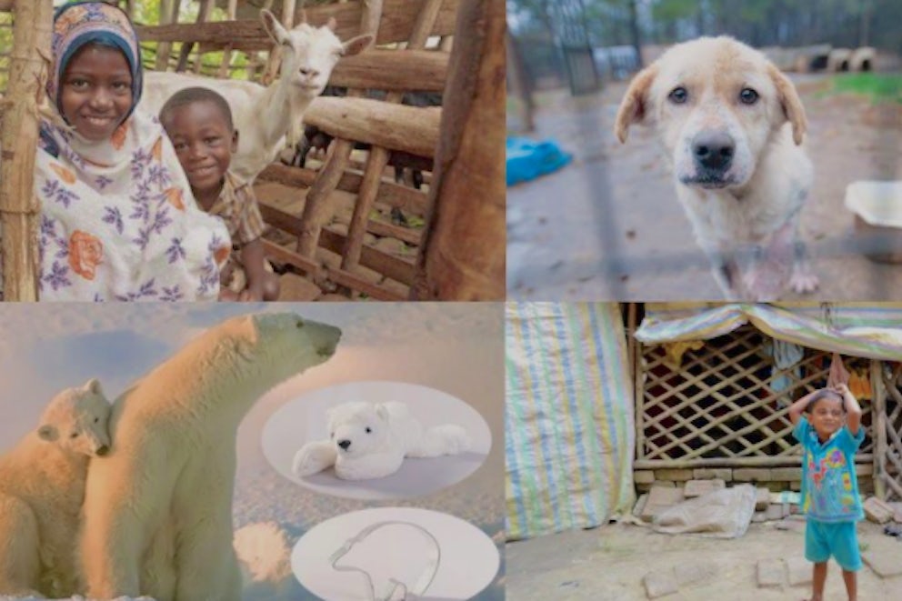 collage with heifer and other products
