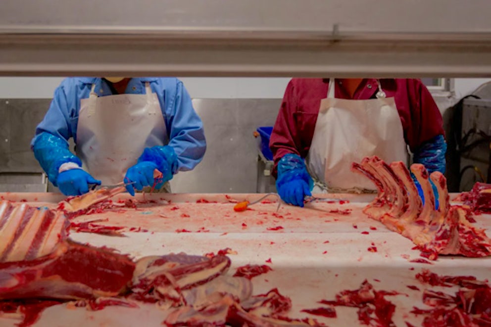 workers processing meat