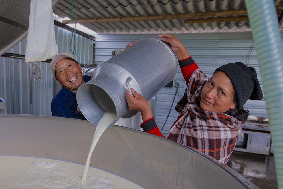Man and woman pouring milk into a large container.