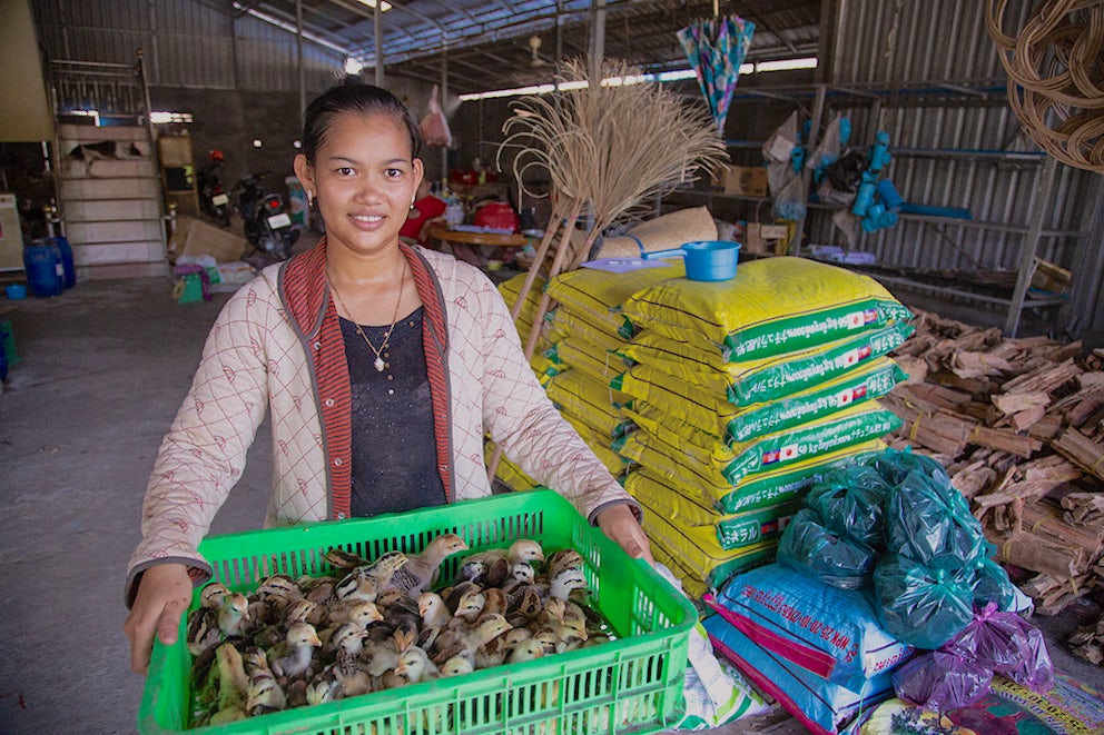 INCOME project, Cambodia