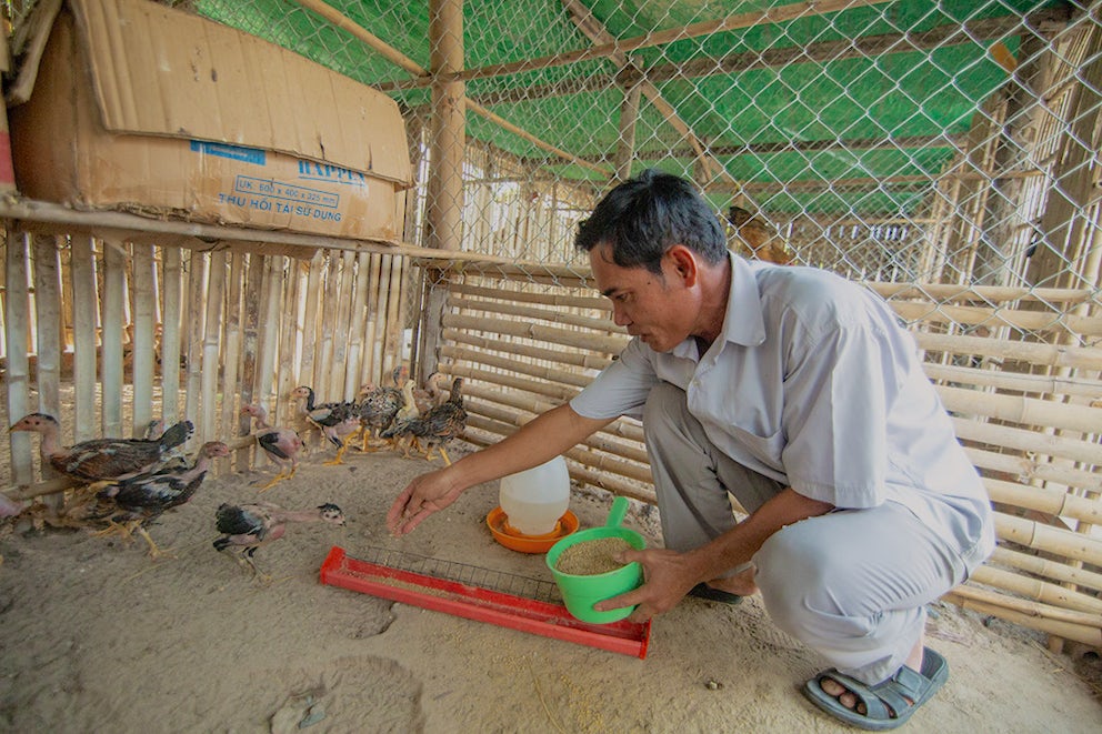 Cambodian chicken farmer