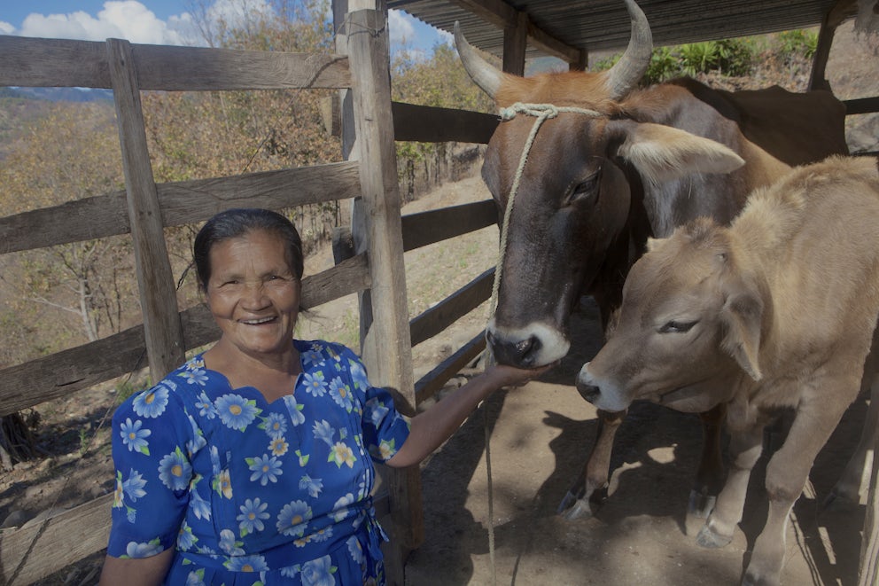 Woman with her Cattle.