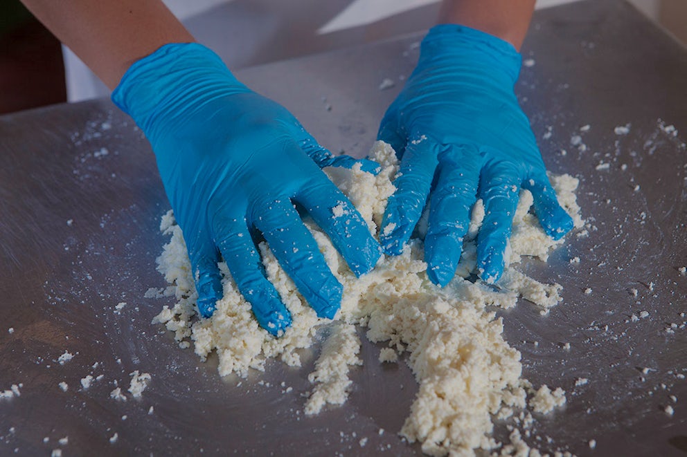 Hands making cheese product.