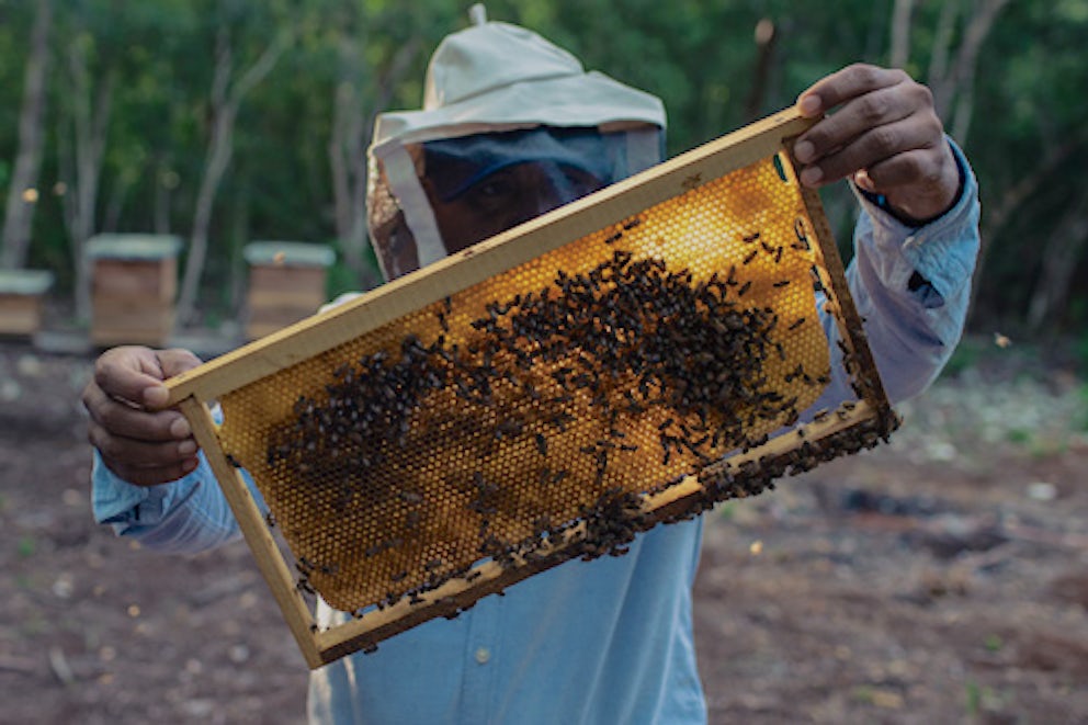 heifer participant holding honey