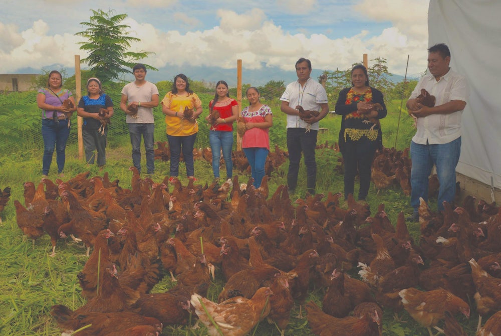 Participants in the Hatching Hope Mexico program hold chickens