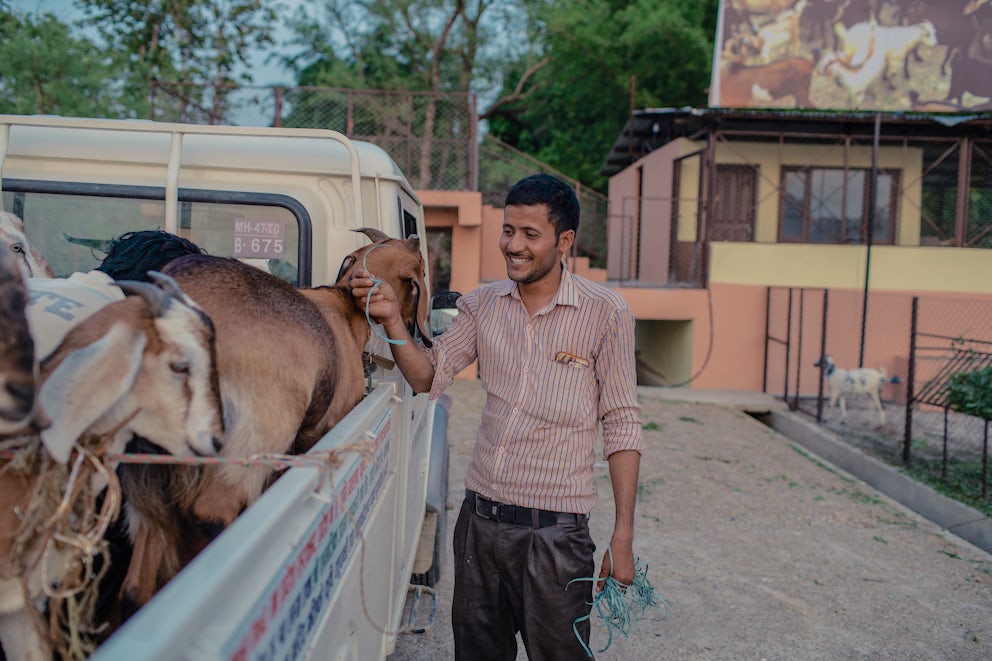 A young man in Nepal smiles as he walks to the back of a pickup truck loaded with goat. Behind him is a building with a fenced off enclosure for goats.