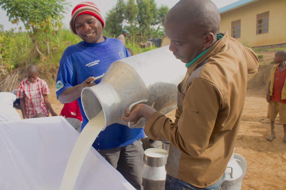 East Africa Dairy Development Project Heifer International