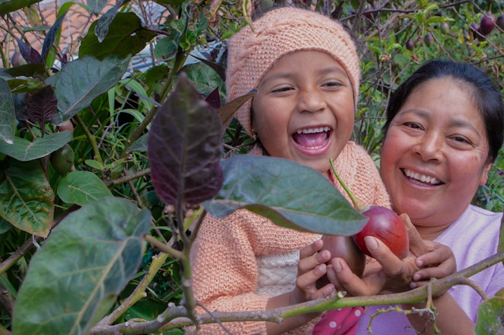 mother and child harvesting fruit while laughing