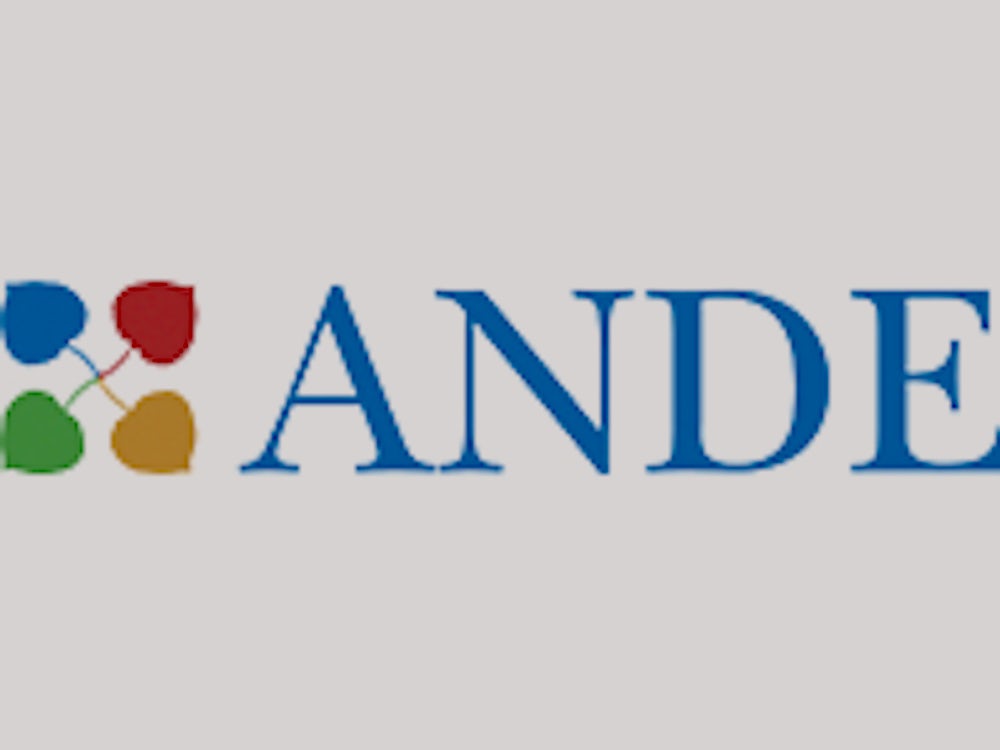 ANDE logo