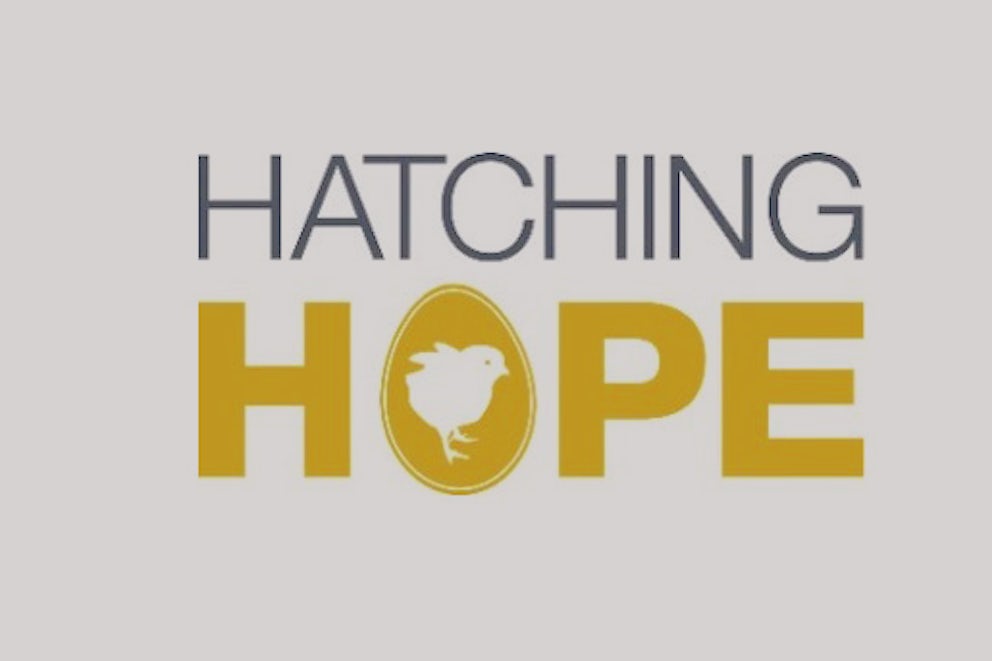Hatching Hope logo