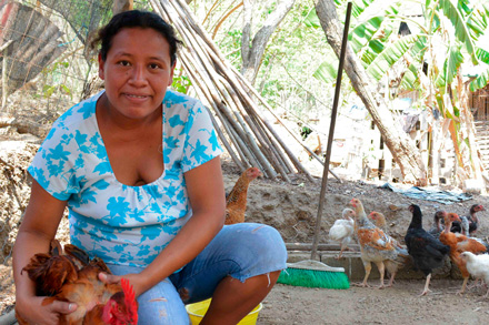 Heifer Mexico project to benefit from grant from Walmart Foundation