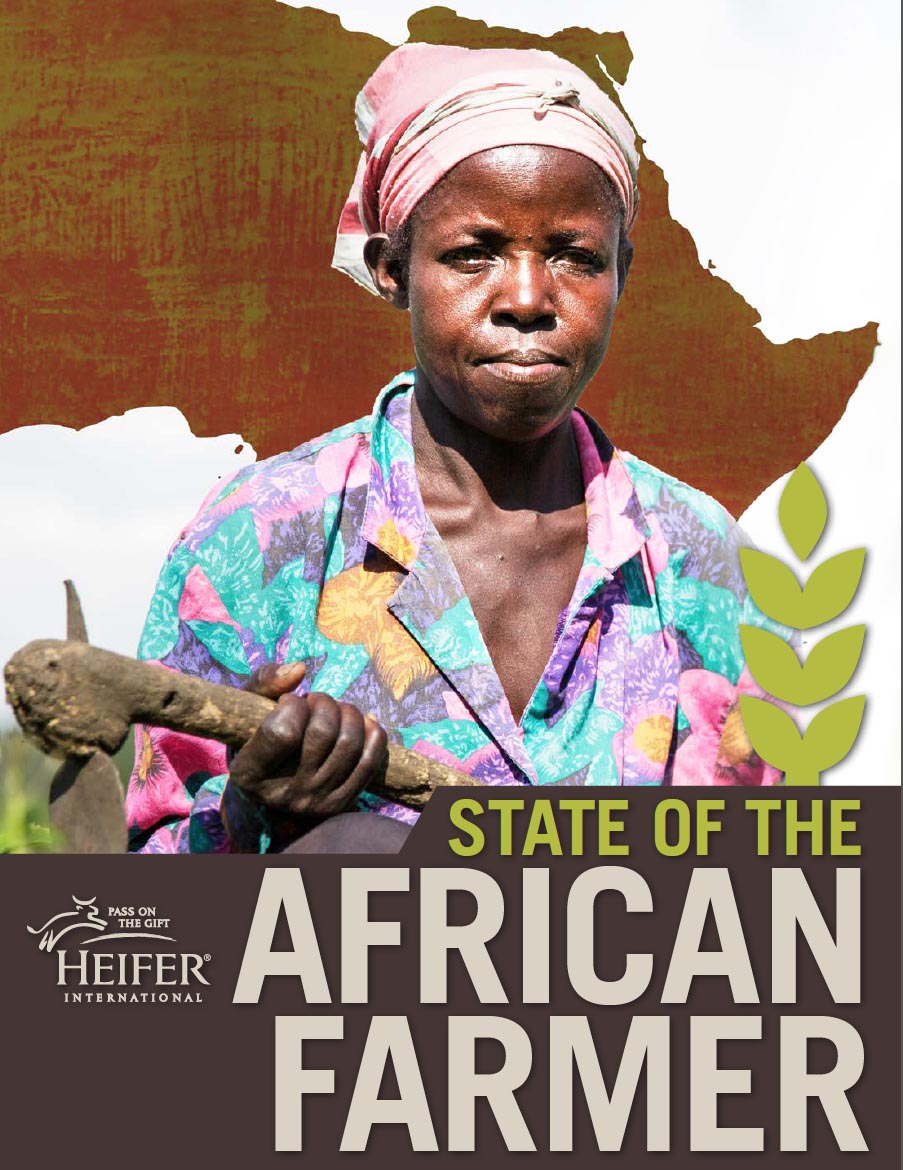 State of the African Farmer
