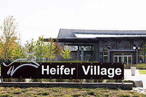 Heifer Village