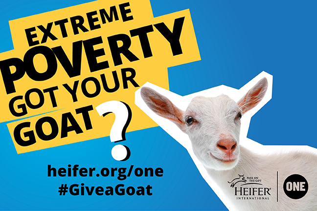 ONE and Heifer International