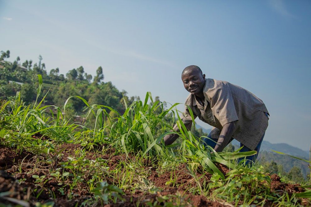 Man planting crops