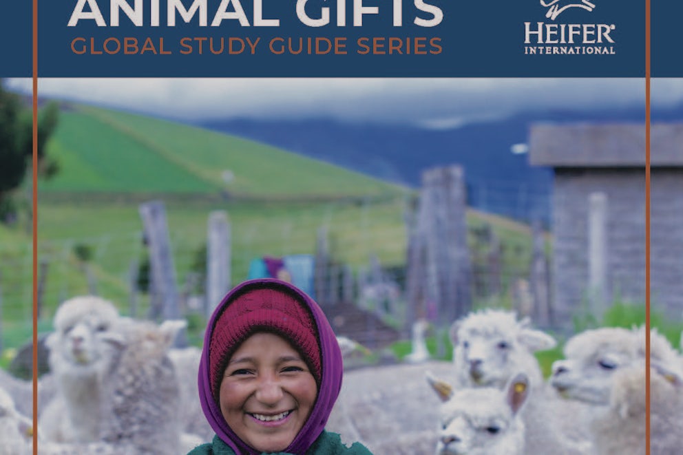 Global Study Guide Animal Gifts
