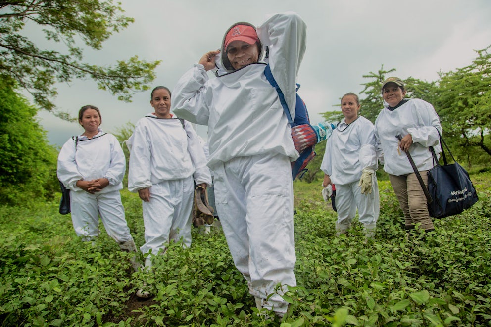A cooperative of 14 female beekeepers in Nicaragua