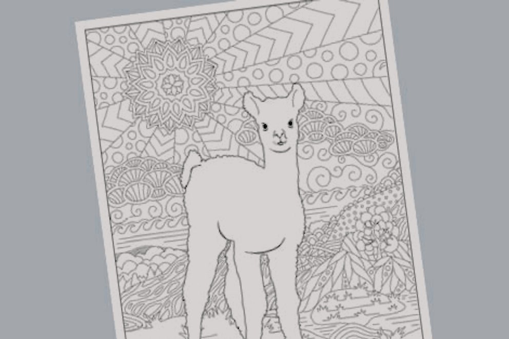 coloring page