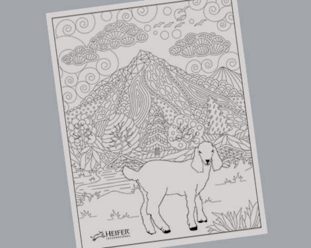 Download Goat coloring page from Heifer International, advanced design | Heifer International