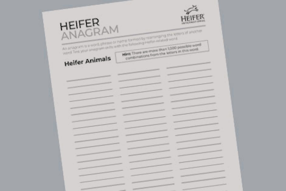 anagram challenge page