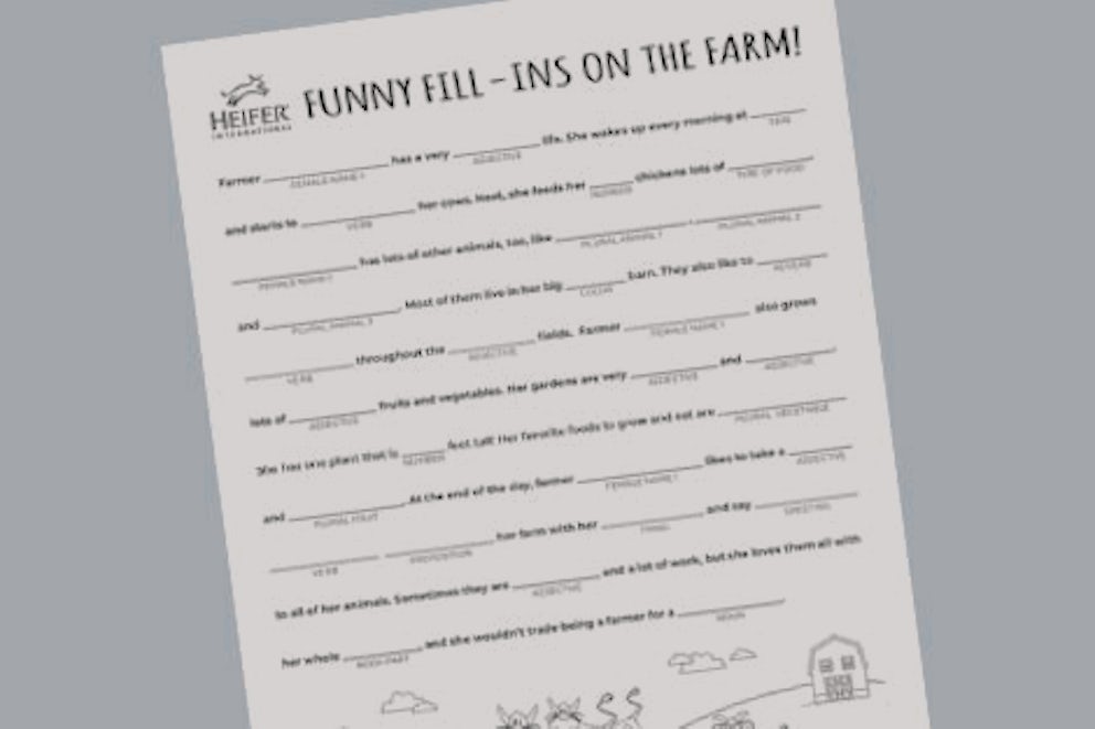 Funny Fill-ins on the Farm cover