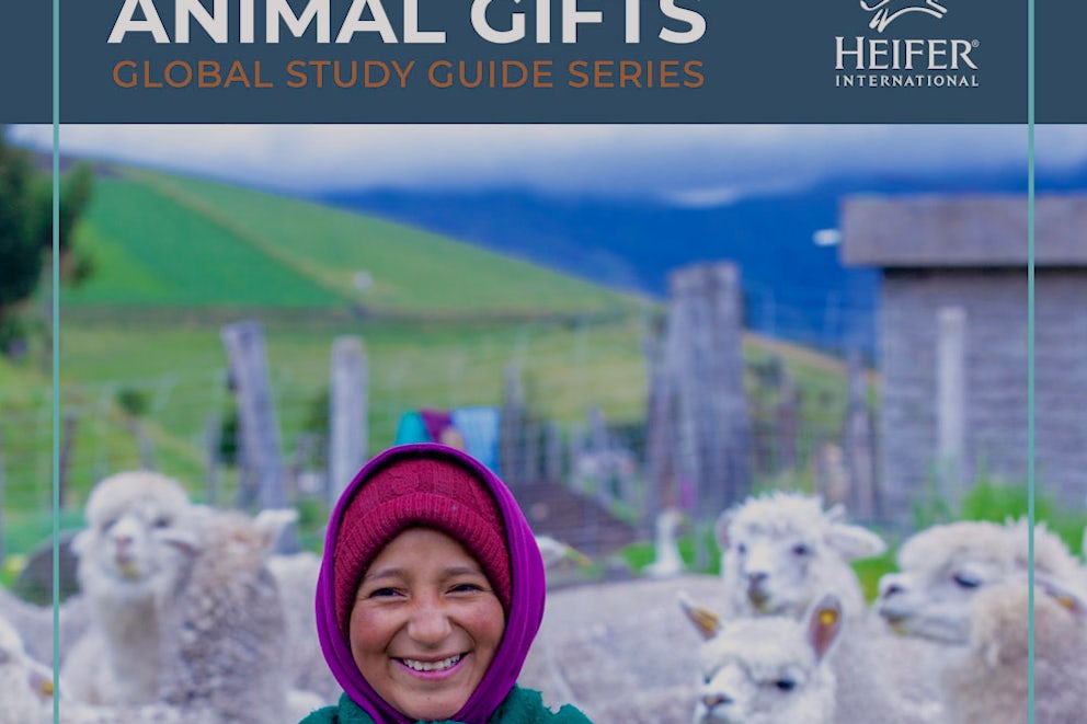 Animal Series guide cover