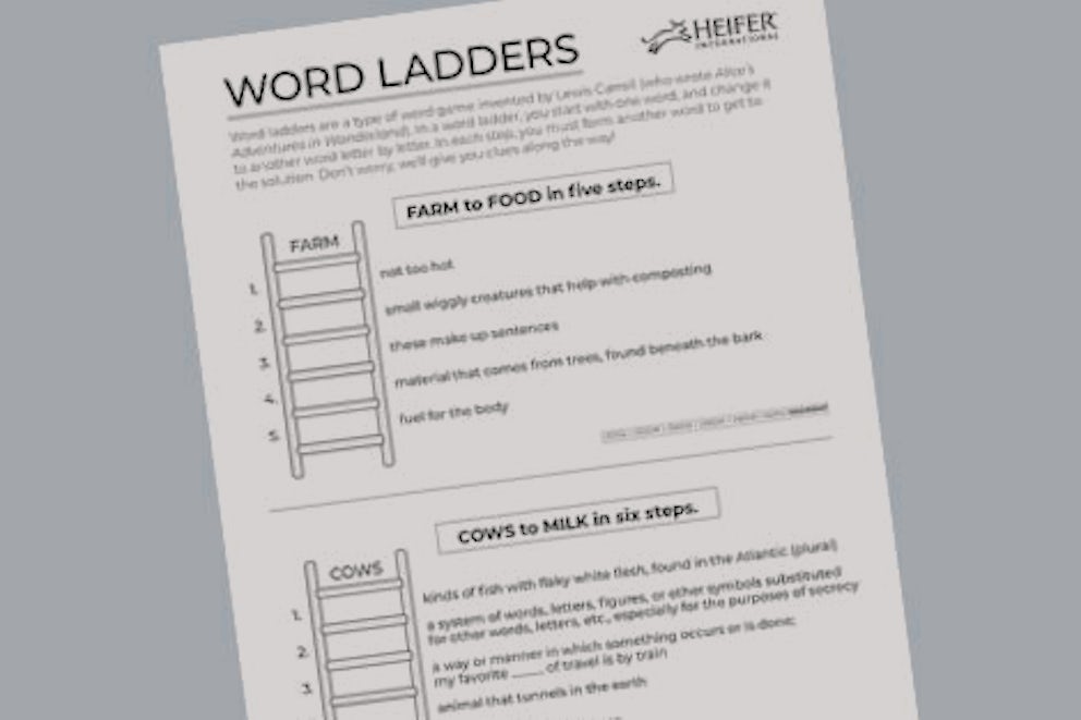 word ladders cover