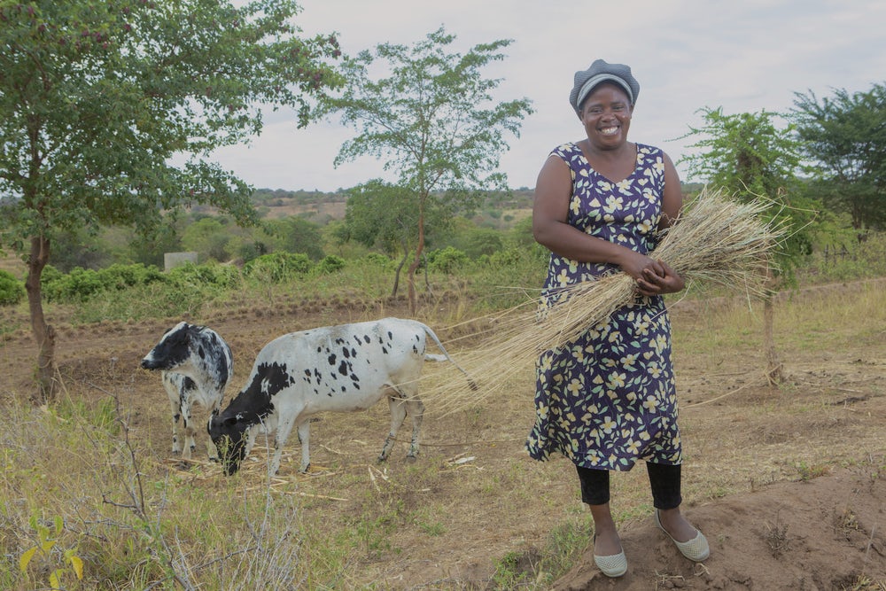 Women standing in front of cows as they are grazing in the fields behind her.