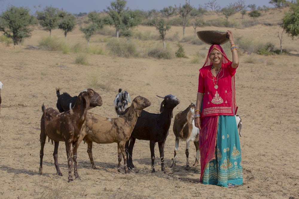 Woman standing in field with her goat herd.