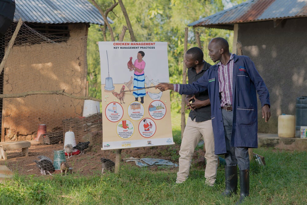 Two men standing together and reading a poster on chicken management practices.