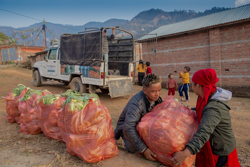 Two people help carry a bundle of vegetables to a truck.