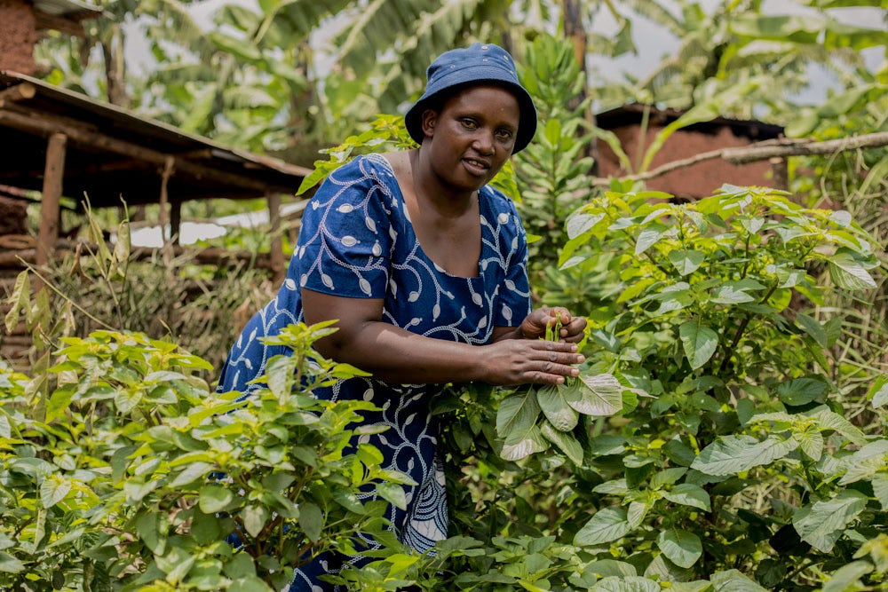 A woman picks crops in Rwanda. 