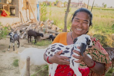Ending Hunger and Poverty While Caring for the Earth | Heifer International