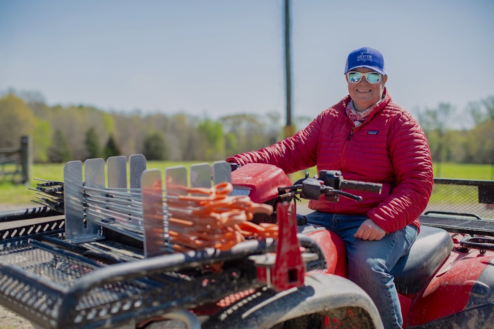 A woman drives an ATV through a cattle field.