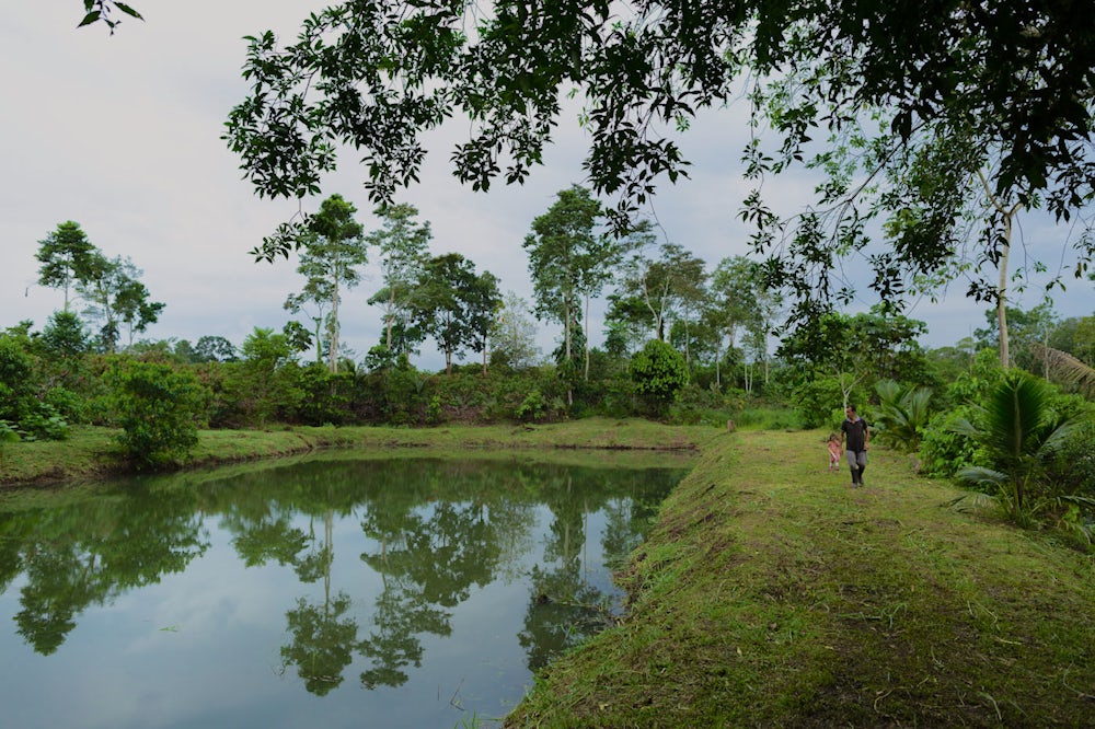 A man and his daughter walk near their fish pond.