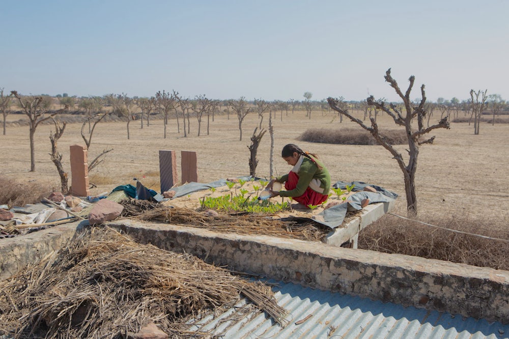 A girl in India waters her family's garden.