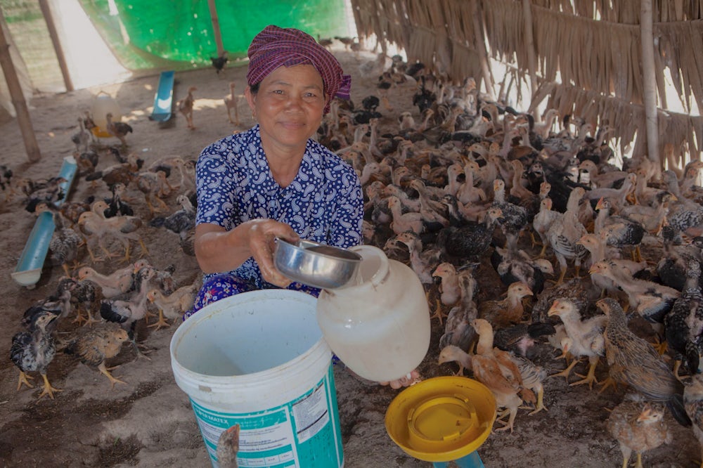A woman pours water for her chickens.