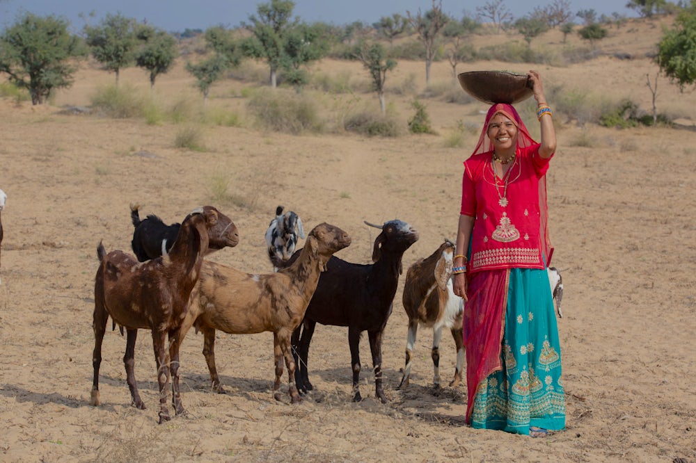 A woman stands with her goats in India.