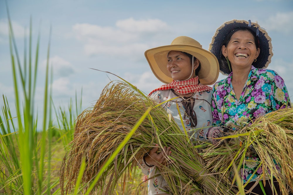 Two Cambodian women pose together while harvesting rice.