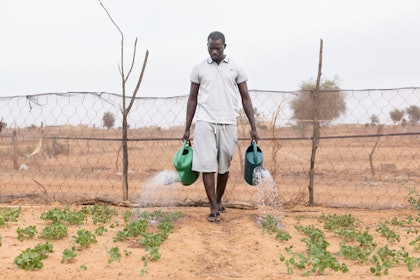 A man waters a field