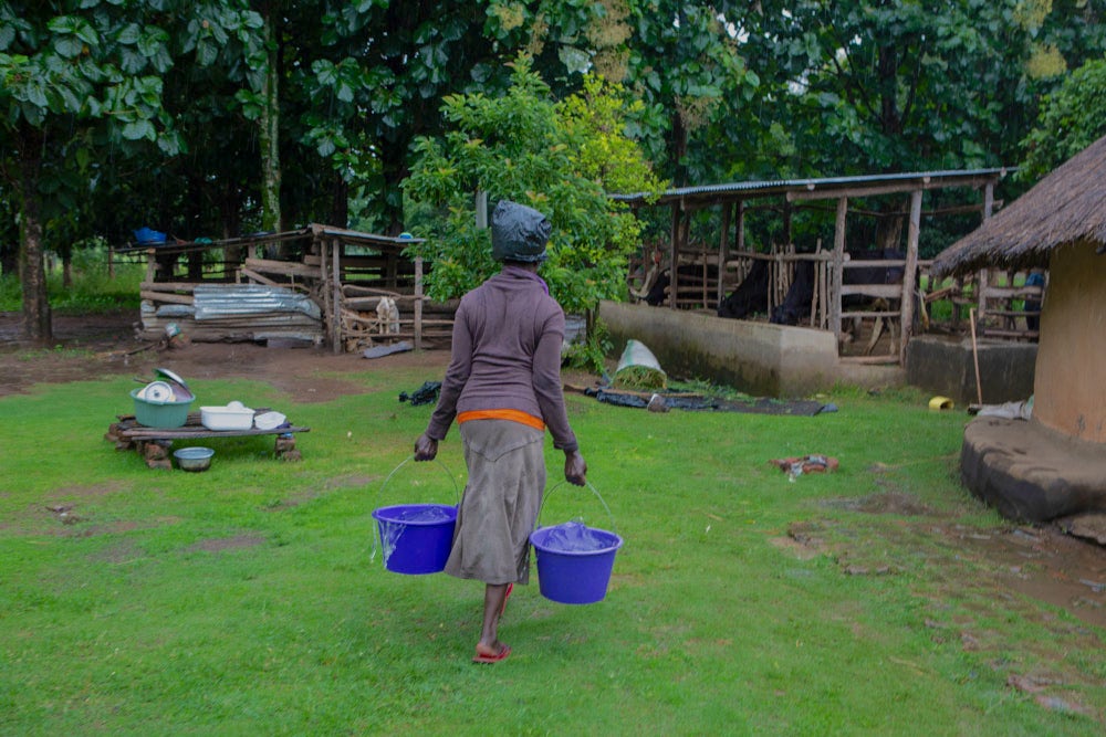 A woman carrying two blue buckets walks across her farmyard.